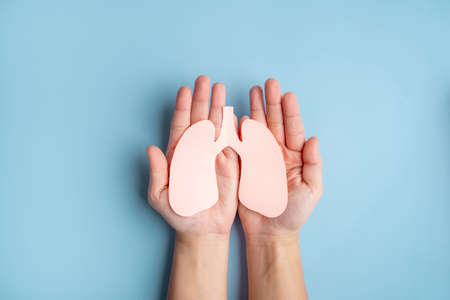 Human hands holding healthy lung shape made from paper on light blue background. World lung day.の写真素材