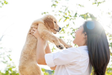 Asian women playing Golden Retriever puppy in the garden.の写真素材