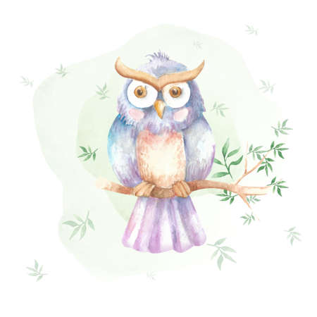 Watercolor Cute Owl vector illustrationのイラスト素材