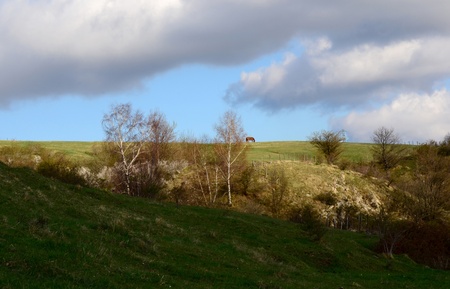 Grazing horseの写真素材