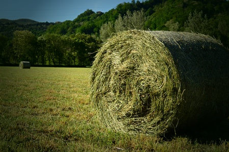 a bale of hayの写真素材