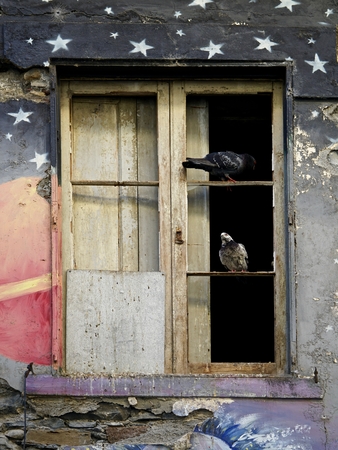 closeup of two pigeons in a morbid window of an old colored houseの写真素材