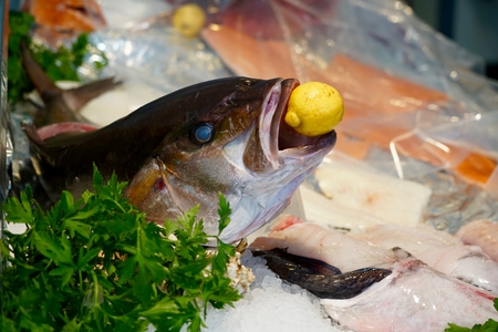 bue eyed fish head with a lemon in its mouth