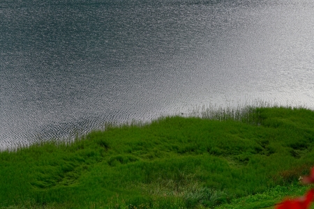 green waterside of the german Schlierseeの写真素材