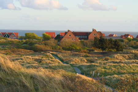 background of grey trees and green bushes in front of a blue sky with the moonの写真素材