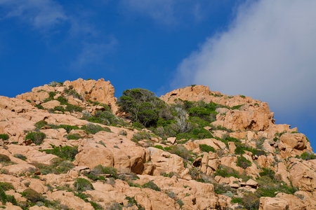 background of a red rock with trees under the blue sky with some cloudsの写真素材