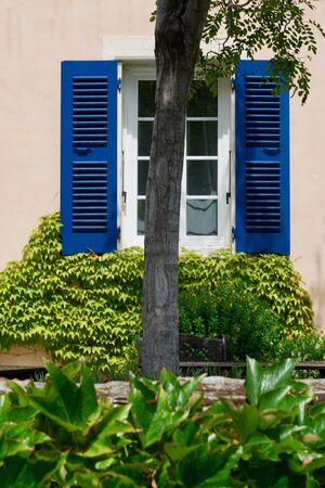 Beige home with a white window and blue folding shutters, ivy under the windows, a tree in the foregroundの写真素材