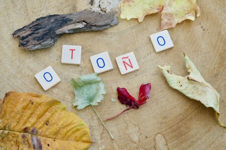 The Spanish word Otono in letters, leaves around on a wooden backgroundの写真素材