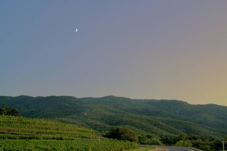 vineyards of Argeles sur Mer under the moon