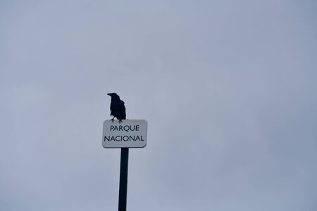 Spanish signboard for a national parc, a raven sitting on itの写真素材