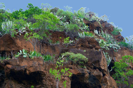 Green vegetation on a red-brown volcanic mountainの写真素材