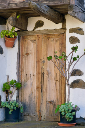 Door of a Canarian rural home with green plantsの写真素材