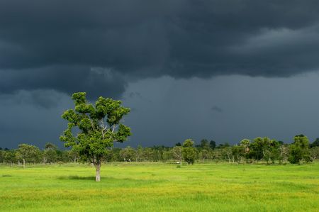 Dark Cloud of Rainy Seasonの写真素材