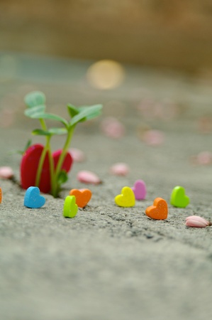 I Many people will get the love in their a little heartの写真素材