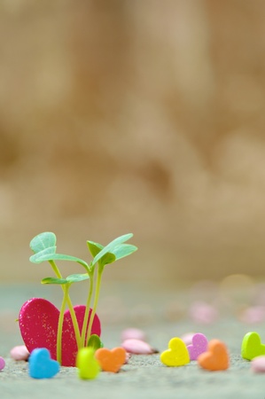 Many little heart and the big hope of loveの写真素材