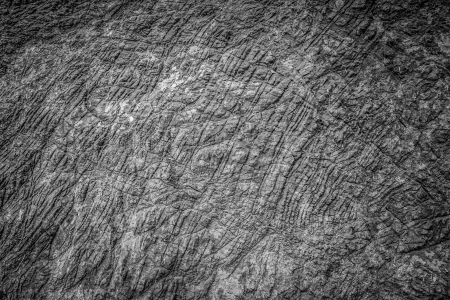 Patterned natural stone.の写真素材