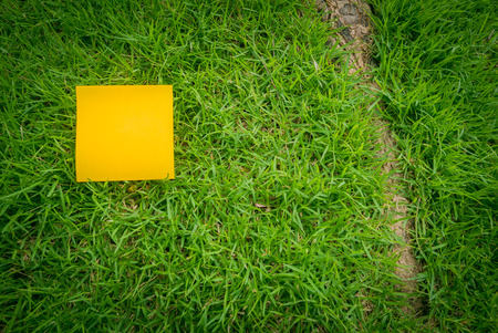 Orange sticky note on green grass in summer.Selective focus.