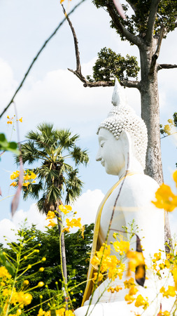Nonthaburi, Thailand: Buddha white statue  in Wat Prang Luang buddhist temple( Public temple ) in Nonthaburi, Thailand/ Selective focus on face buddha.の写真素材