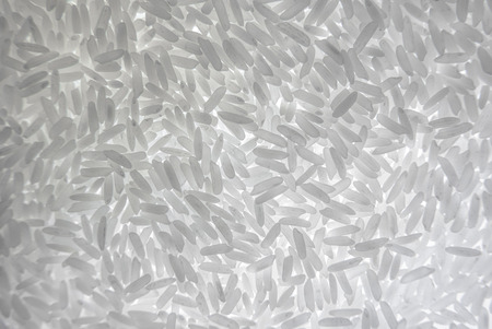 Organic jasmine white rice with background light.
