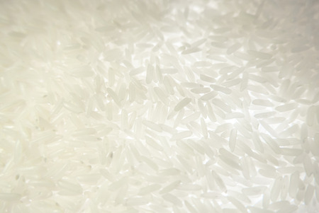 Organic jasmine white rice with background light.の写真素材