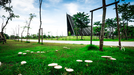 NAKORNPATHOM - SEPTEMBER 25, 2016: Focus mushroom and Prince Mahidol Hall Background .The grand hall as the proper venue for the graduation ceremon and It is also a concert hall( largest concert hall of Thailand )of Mahidol university in Nakornpathom, Thaのeditorial素材