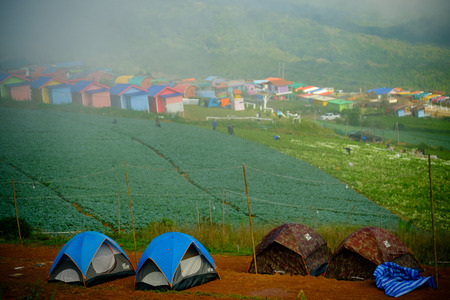Phetchabun, Thailand - November 29, 2016: Top view of cabbage farm and colourful house of village...