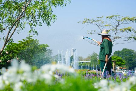 Bangkok, Thailand - December 11, 2016: Gardener watering flowers in a small garden center.のeditorial素材