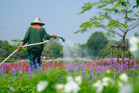 Bangkok, Thailand - December 11, 2016: Gardener watering flowers in a small garden center.の写真素材