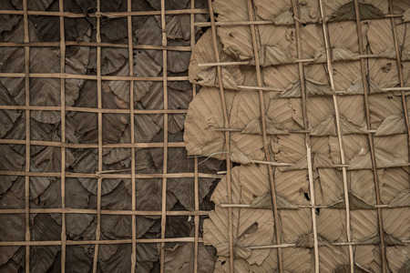 Vintage style, Wall made from leaf in rural. Dry Leaf wall background.の写真素材