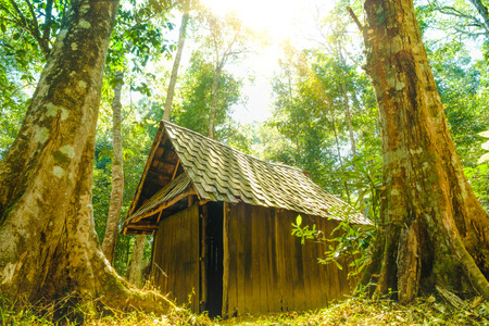 Small old wooden house in forest on highland and mountain, Thailandの写真素材