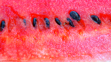 Slice of fresh and juicy red watermelon  close up image.の写真素材