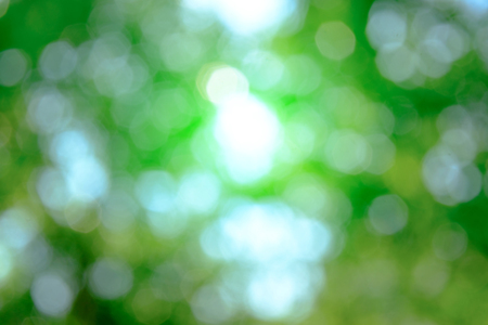 Concept image of soft blurred and bokeh background of lighting sun and green leavesの写真素材