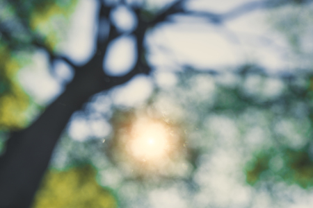 Concept of Abstract image blurred background of lighting sun and green leaves on the tree with vintage image styleの写真素材