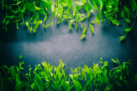 Top view and vintage style of green leaves frame on soft black background.の写真素材