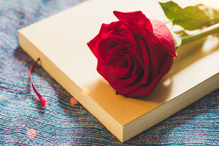 Top view and close up image on bright red rose on an old book.の写真素材