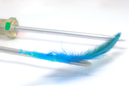 close up image blue feather on screwdriver.の写真素材