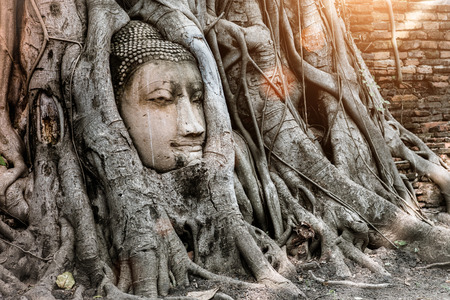 Ayutthaya Buddha Head statue with trapped in Bodhi Tree roots at Wat Maha That (Ayutthaya). Ayutthaya historical park Thailand. Vintage effect.のeditorial素材