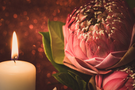 Vintage image style on pink  water lily or lotus flower folding thai style with white candle light  for worship with red bokeh background.の写真素材