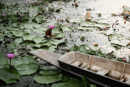 Old wood boat and pink lotus flower blooming on a lake. Vintage image.の写真素材