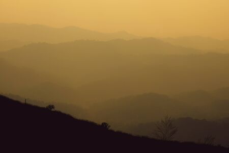 landscape fantastic sunset on foggy autumn forest valley, mystical valley background.