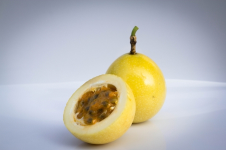Fetid passionflower, Scarletfruit passionflower