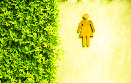 background toilet girlの写真素材