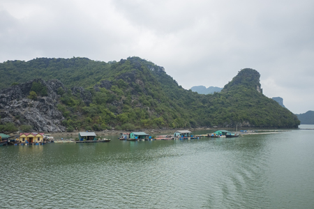 Vietnam Island Cat ba Halong. Group of rocky islands covered with vegetation in azure sea. Sand beach. Blue cloudless skyの写真素材