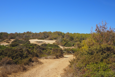 A view of a Praia da Rocha in Portimao, Algarve region, Portugalの写真素材