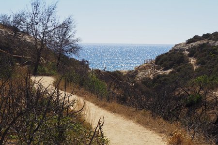 A view of a Praia da Rocha in Portimao, Algarve region, Portugalの写真素材