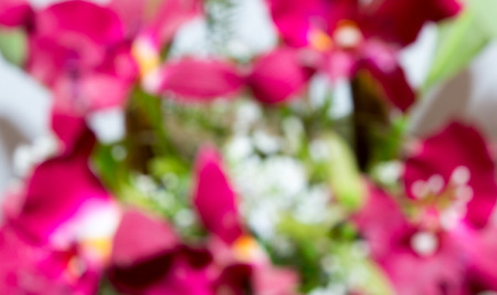 flowers abstract blurred backgroundの写真素材