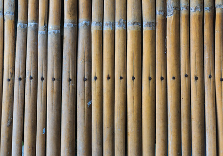 Bamboo wall texture background.の写真素材