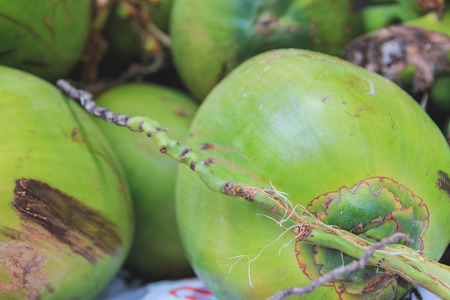 Coconut, Selective focus.の写真素材