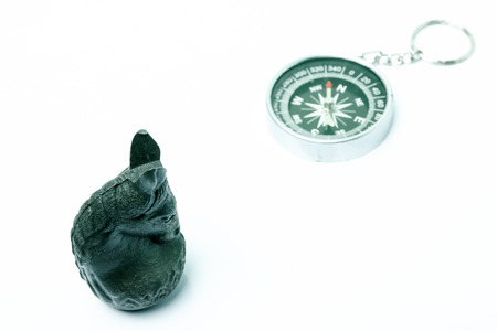 black knight, thai chess on white background.の写真素材