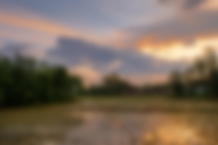 abstract blurred background, sunny dawn in a paddy fieldの写真素材